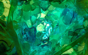 comme des cubes de lumiere, verts, qui dessinent un chemin vers la liberté